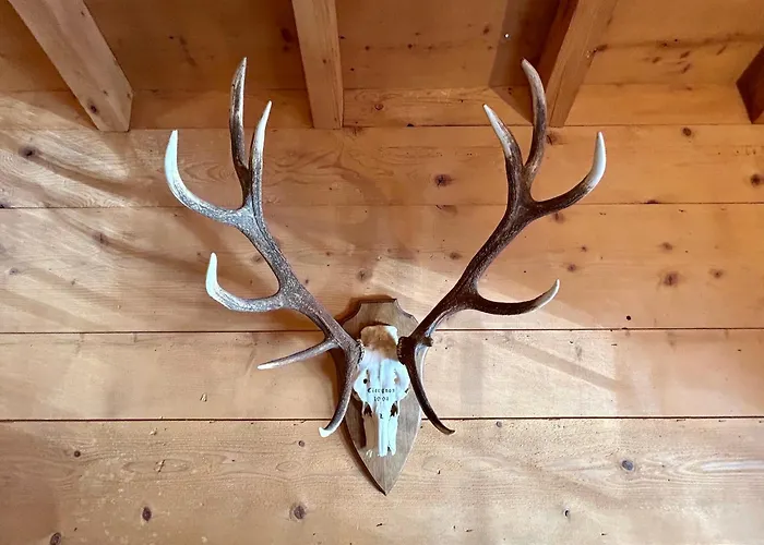 Chalet -la Rosiere- Premium, Villars Centre Ollon